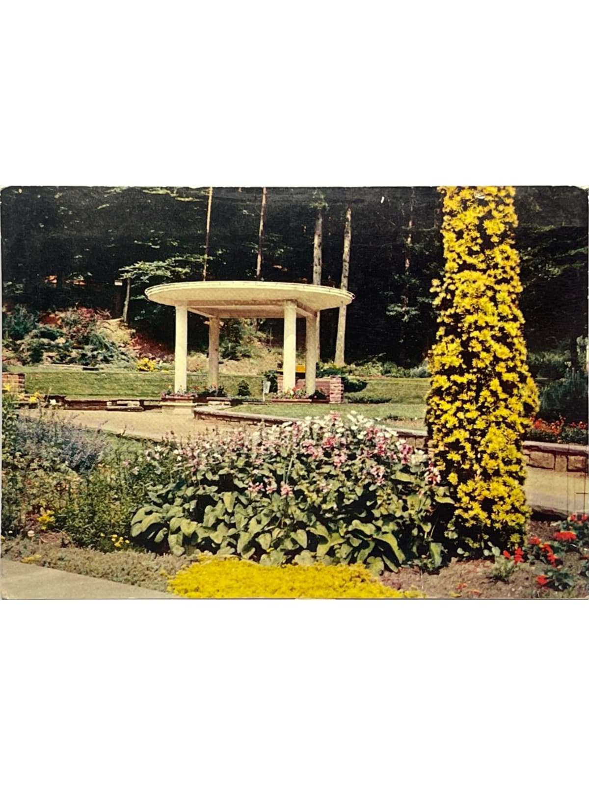Recto de la carte postale
