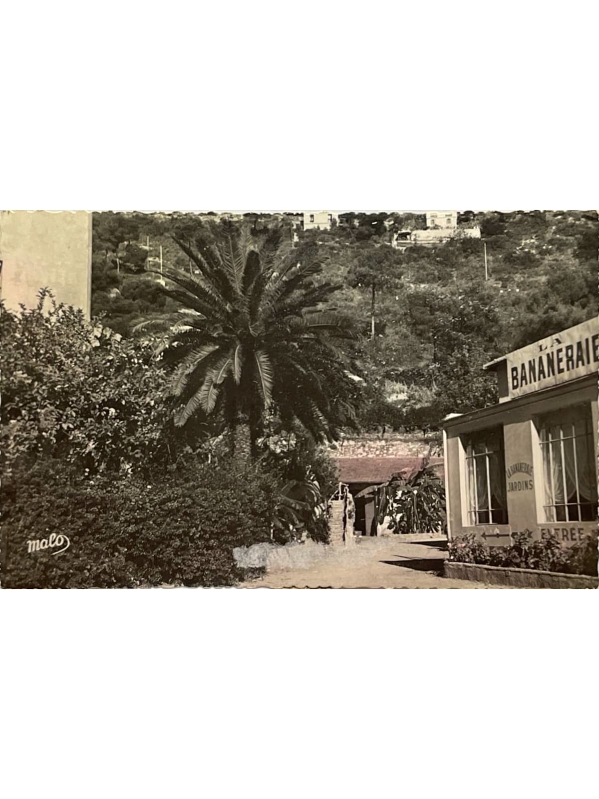 Recto de la carte postale