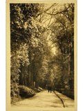 Recto de la carte postale