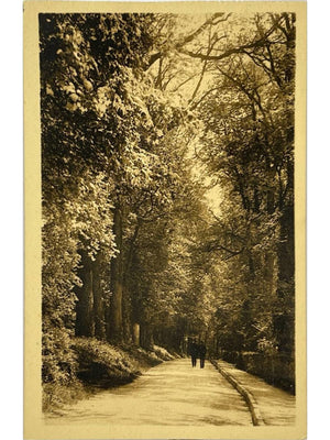 Châtillon-sur-Seine – Promenade de la Douix – CPA ancienne