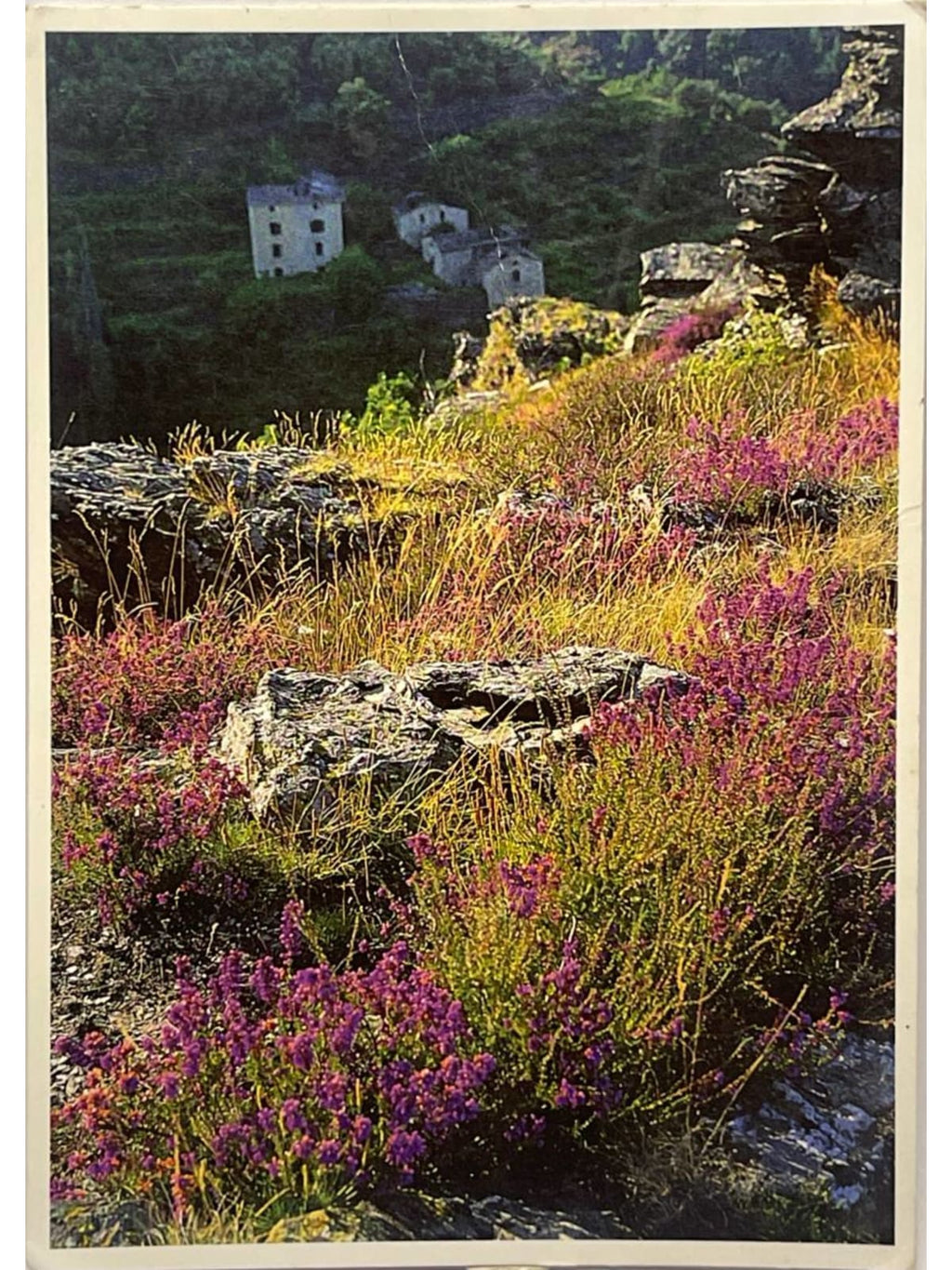 Recto de la carte postale