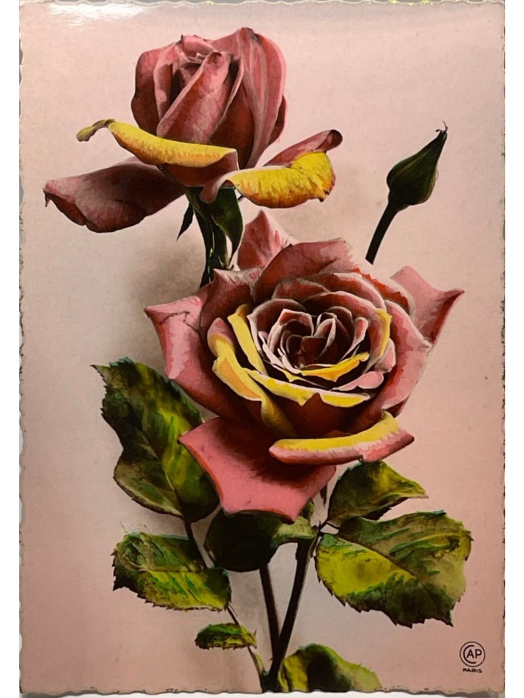 Recto de la carte postale