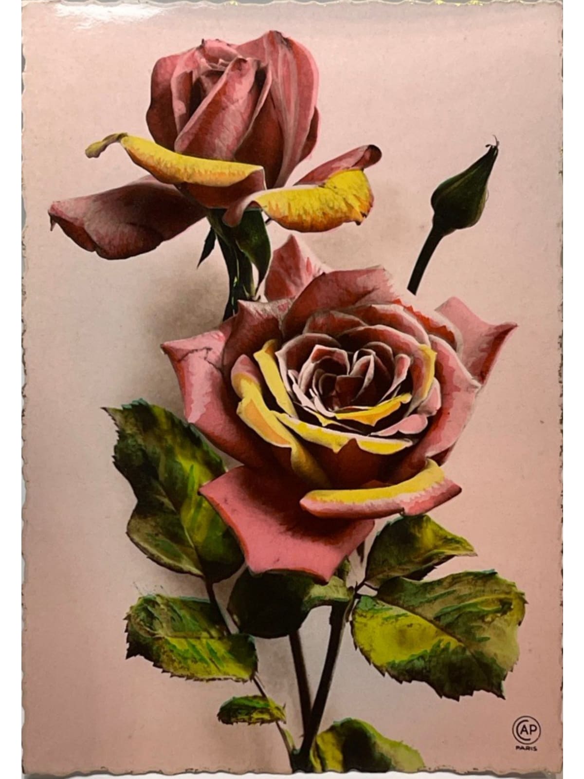Recto de la carte postale