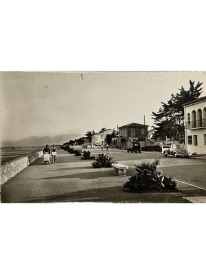 Canet-Plage – Le boulevard maritime, automobiles et promeneurs – CPSM années 1950