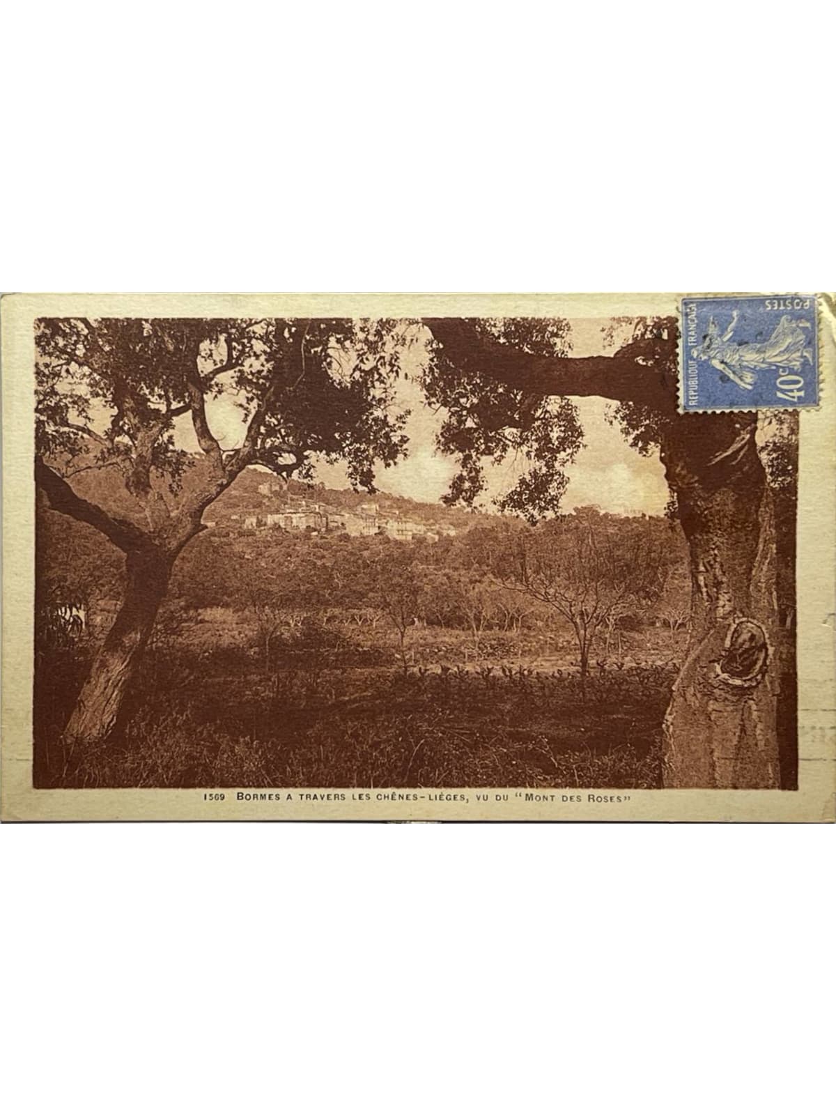 Recto de la carte postale