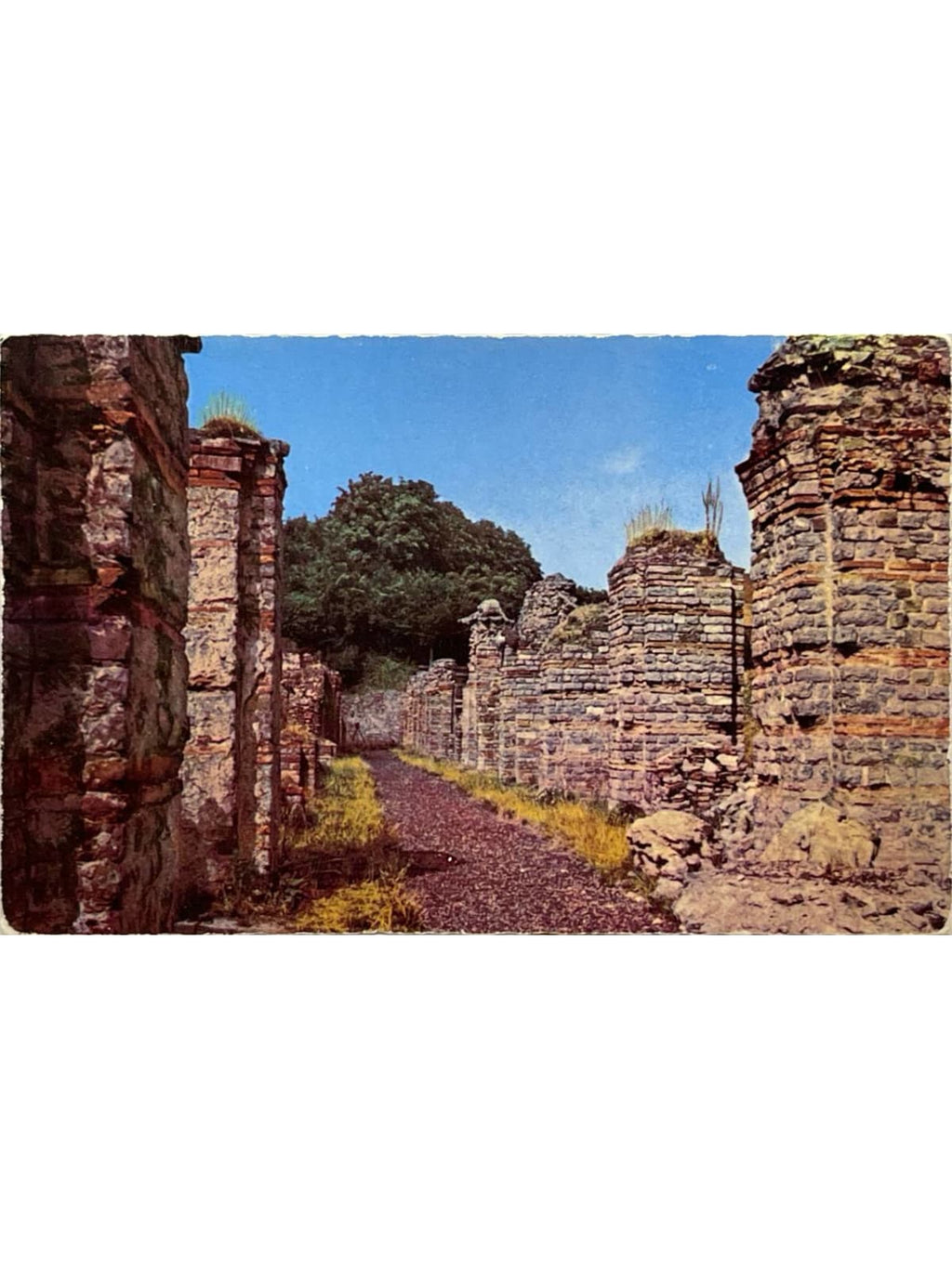 Recto de la carte postale