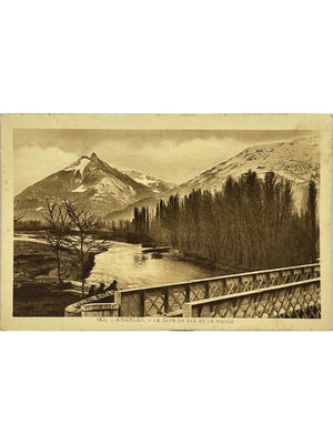 Argelès-Gazost – Le gave de Pau et le Viscos – CPA n° 163