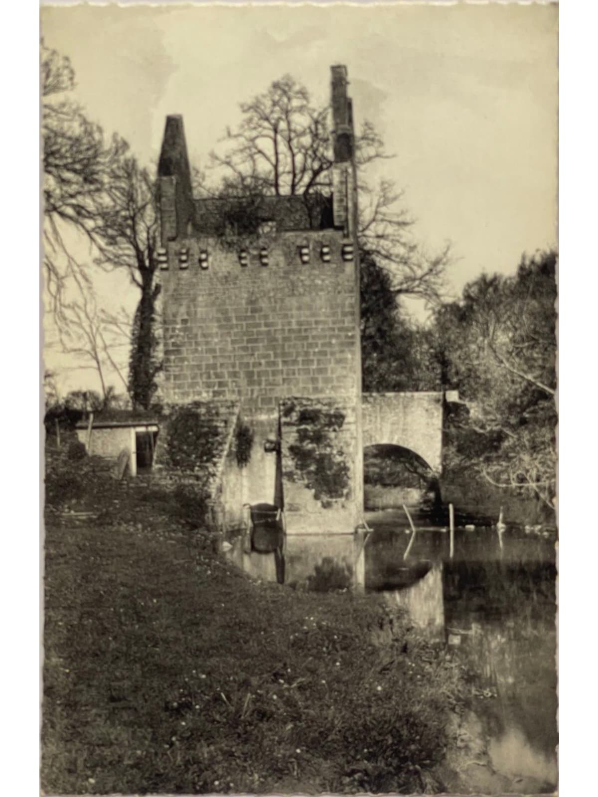 Recto de la carte postale
