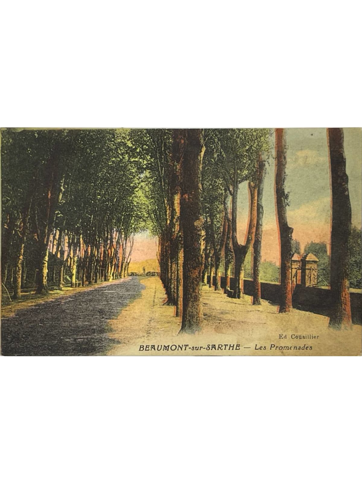 Recto de la carte postale