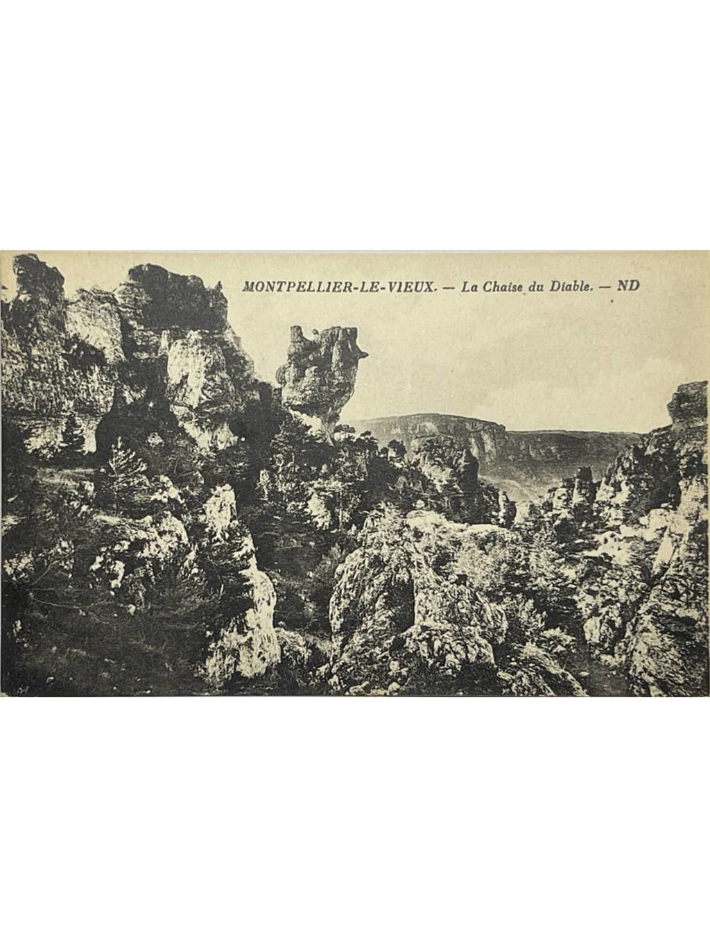 Recto de la carte postale