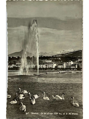 Carte postale – Genève – Jet d'eau, Mont-Blanc et cygnes – Fêtes de Genève 1953