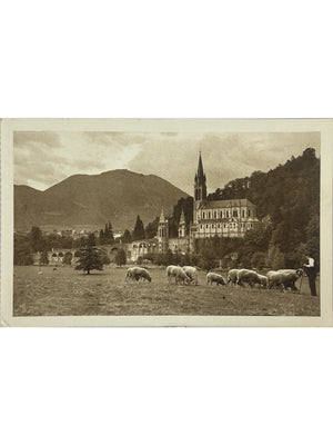 Carte postale – Lourdes – La Basilique vue de la prairie de la Grotte, troupeau – Carte n° 26