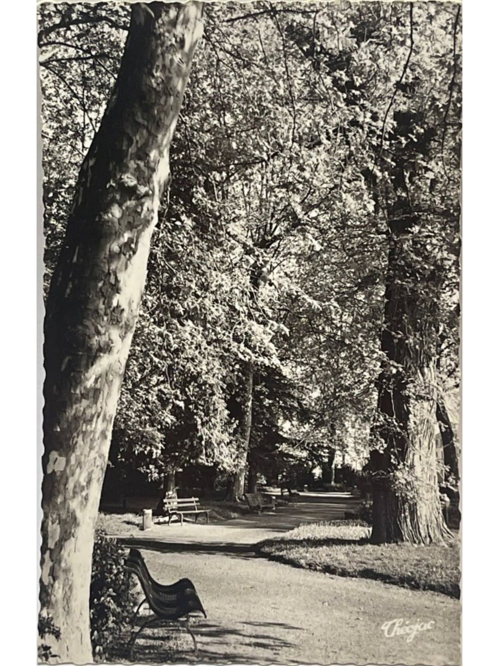 Recto de la carte postale