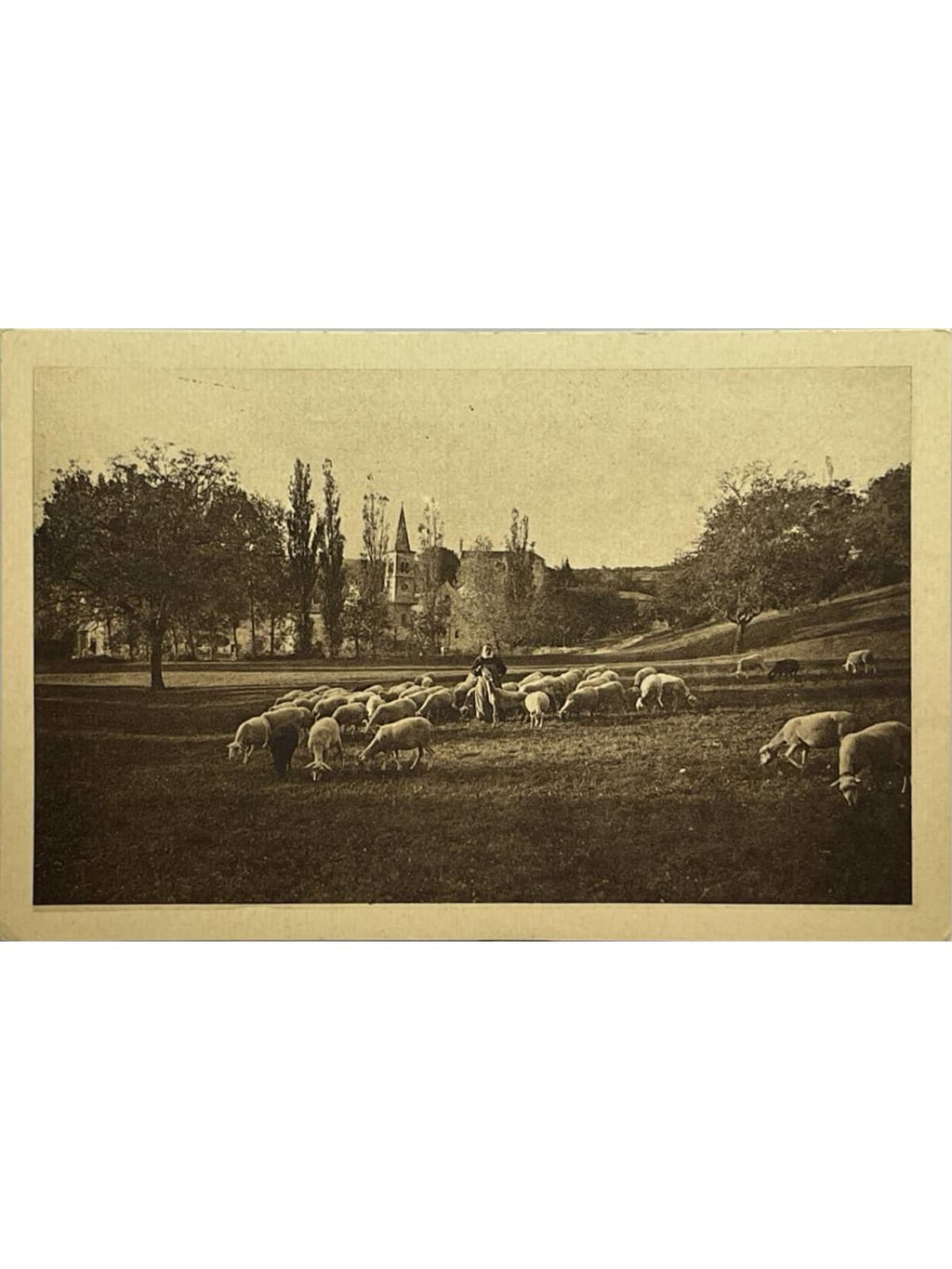 Recto de la carte postale