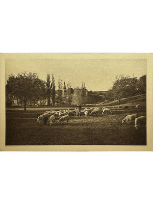Abbaye Notre-Dame d'Aiguebelle – Berger et troupeau – CPA vers 1948