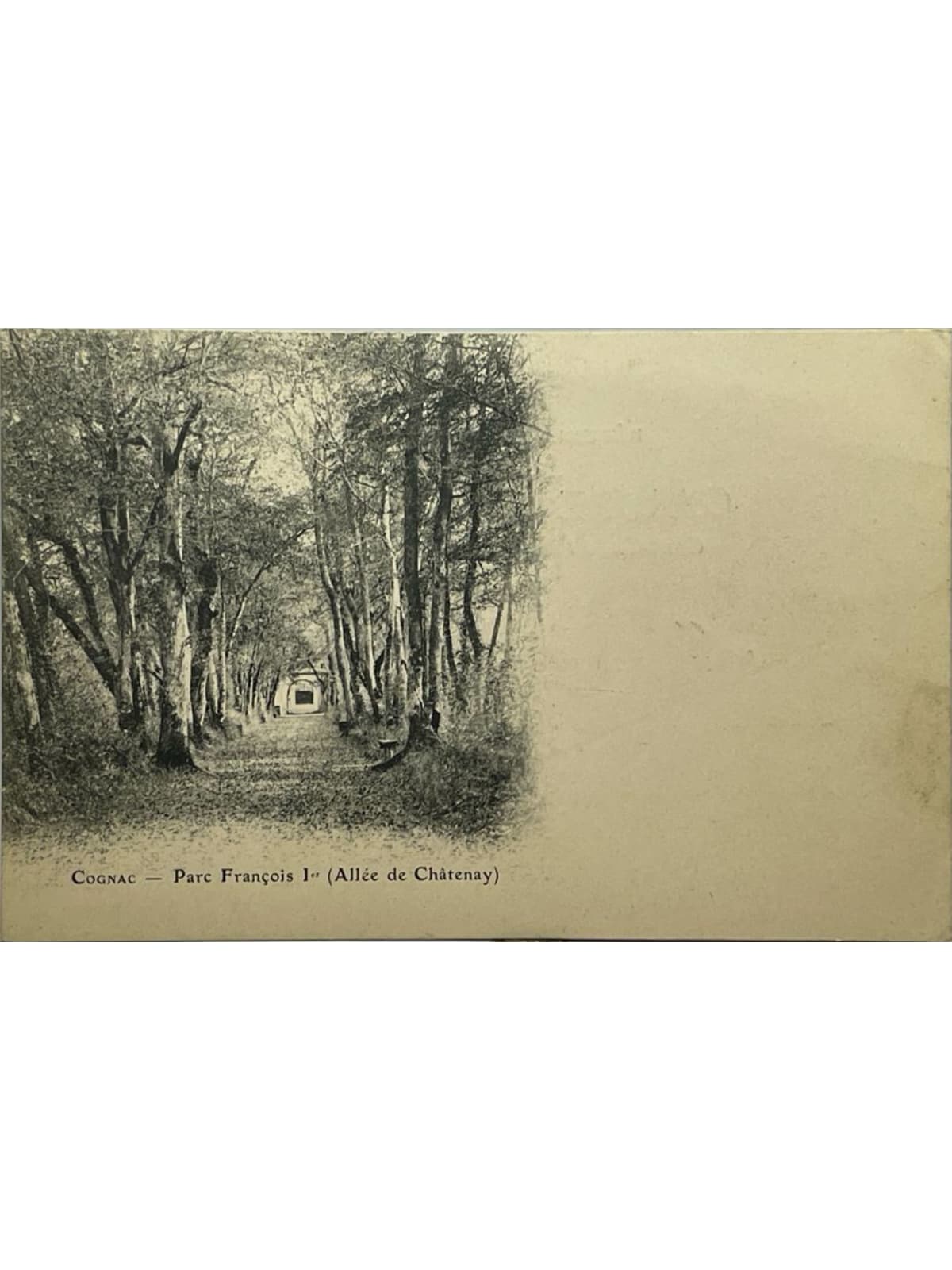 Recto de la carte postale