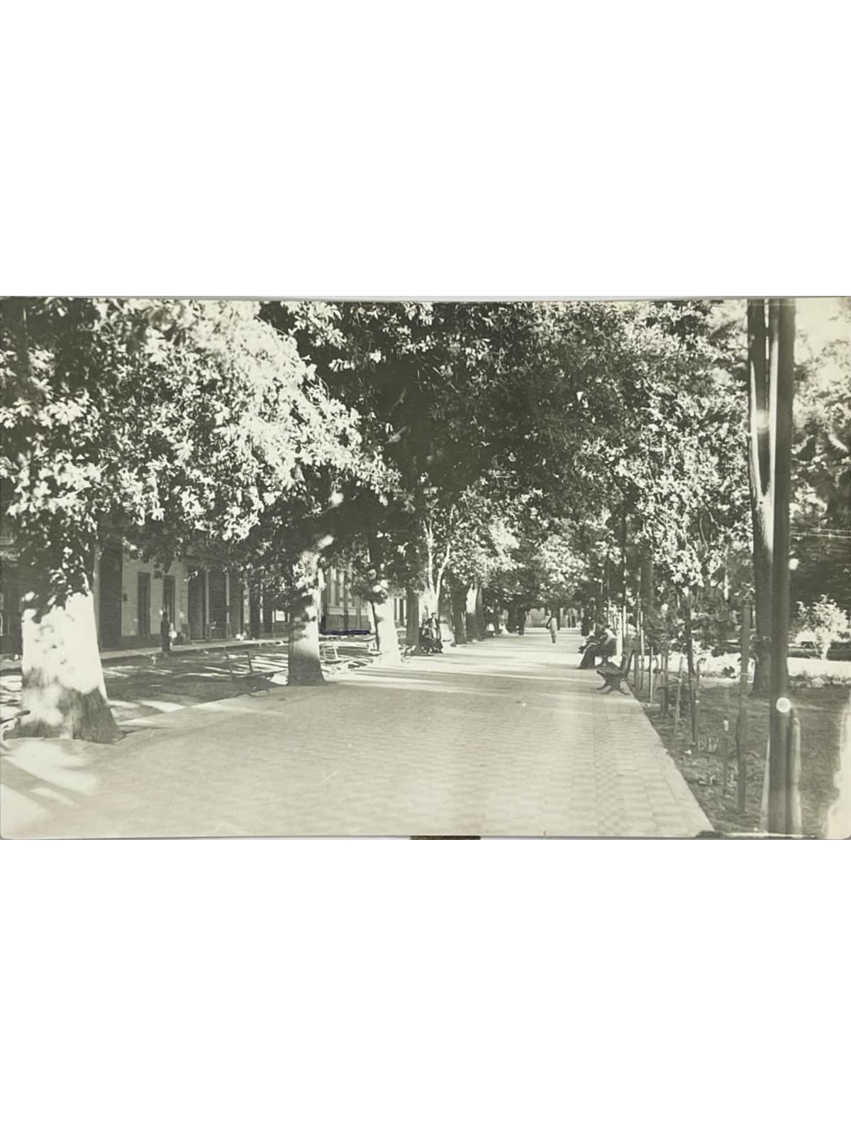 Recto de la carte postale