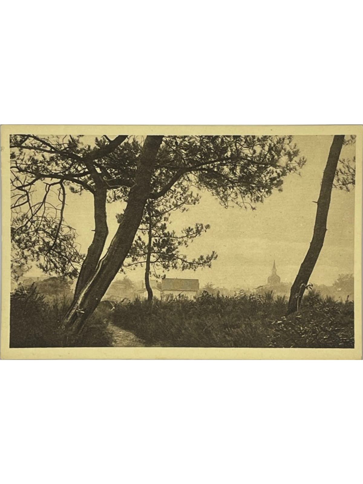 Recto de la carte postale