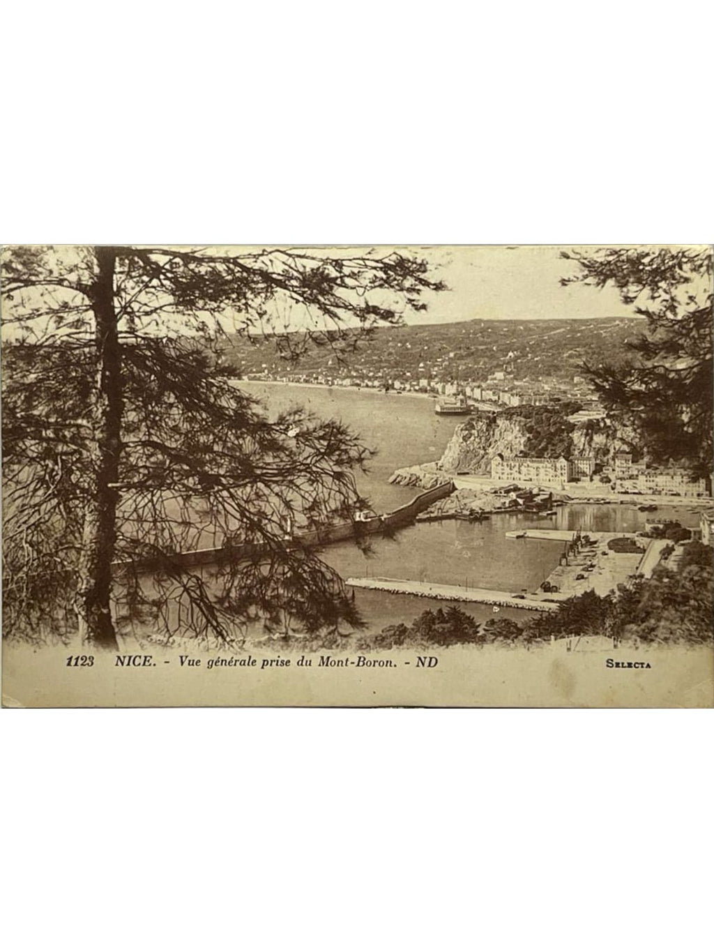 Recto de la carte postale