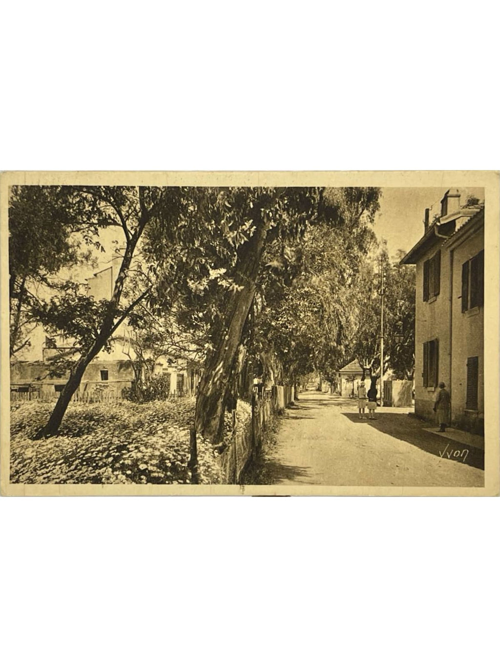 Recto de la carte postale