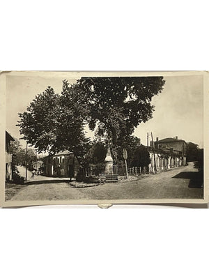 Auterive – Avenues de Nailloux et de Cintegabelle – Haute-Garonne – CPSM n° 8