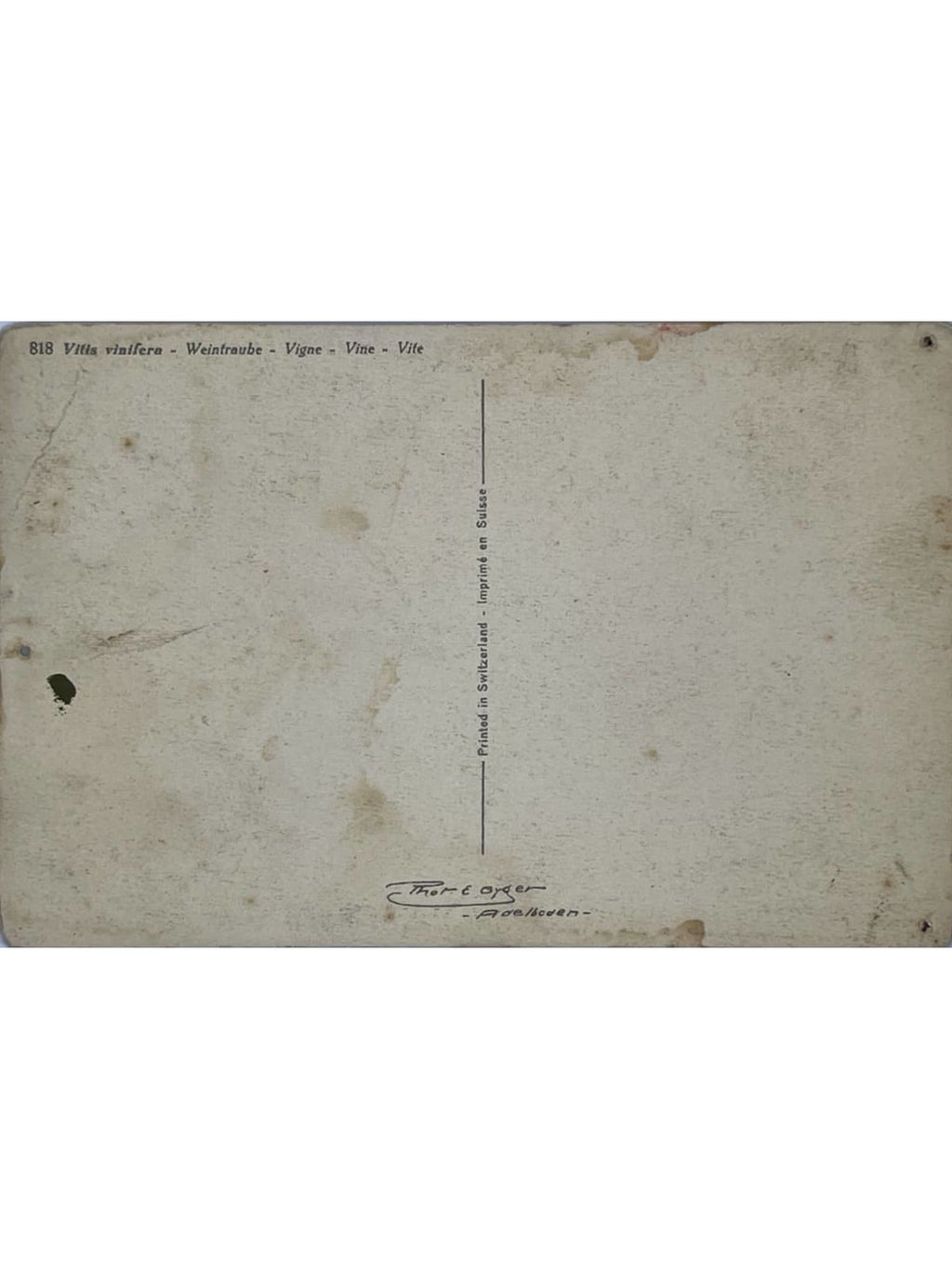 Verso de la carte postale