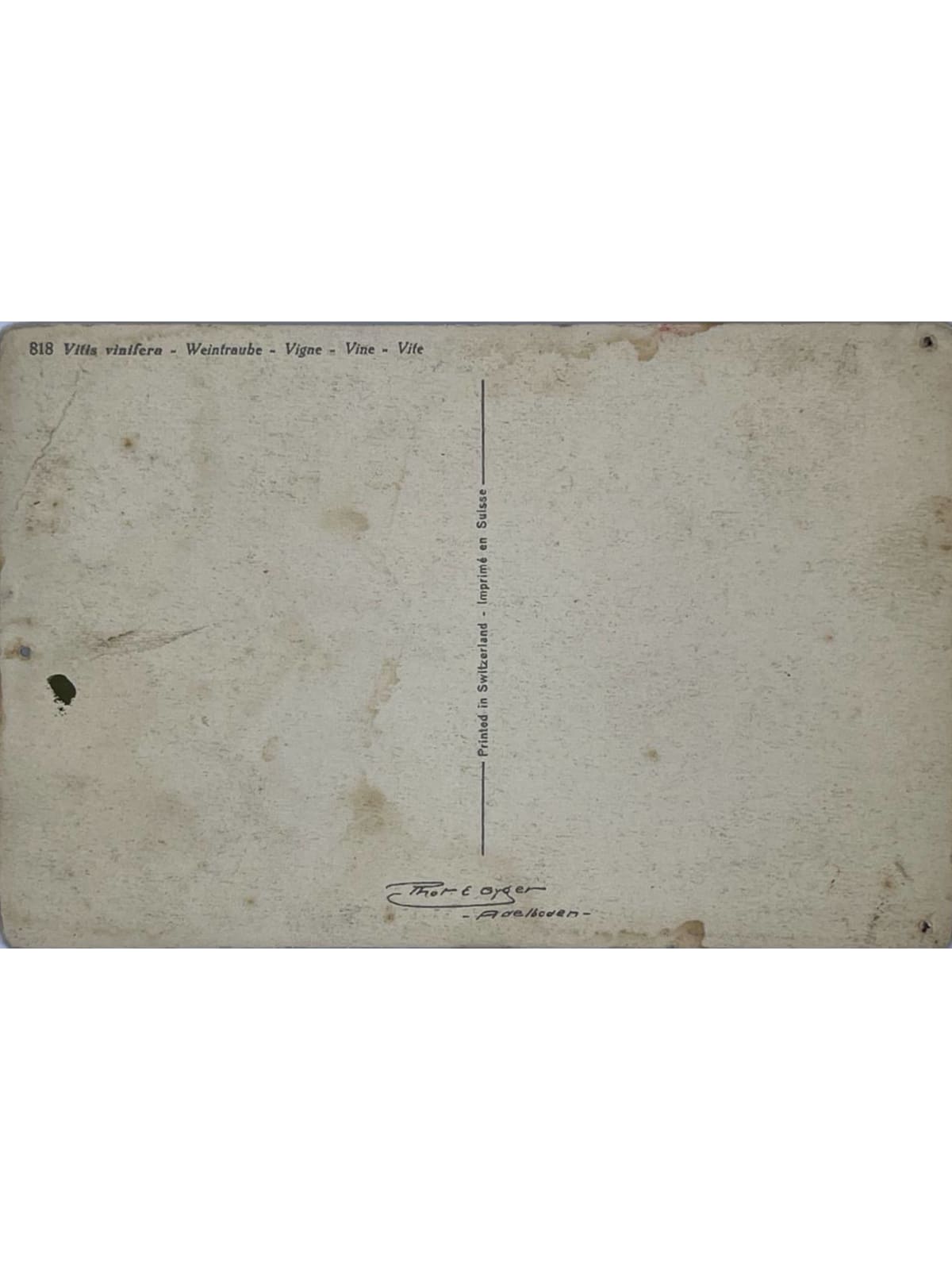 Verso de la carte postale