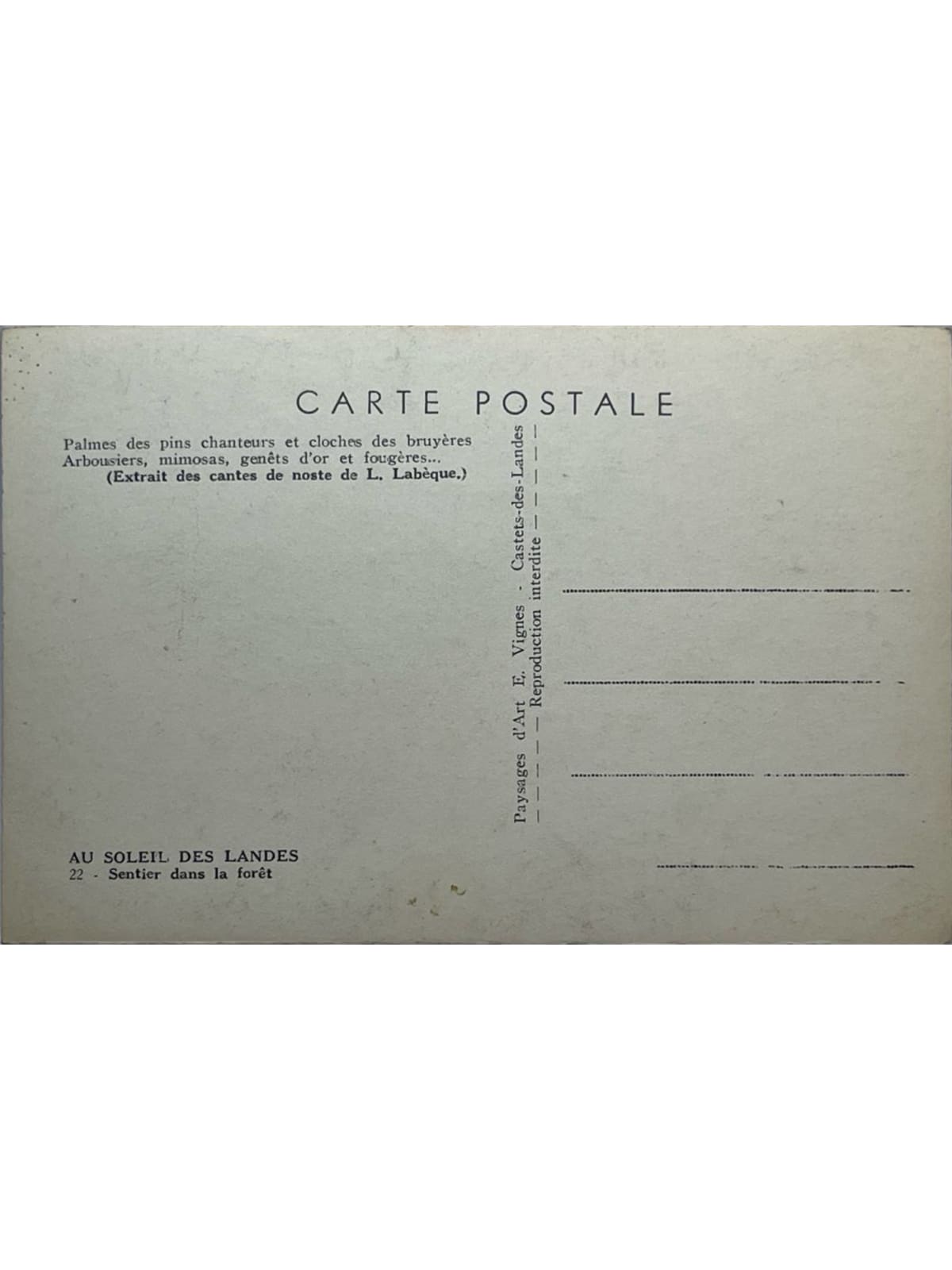 Verso de la carte postale